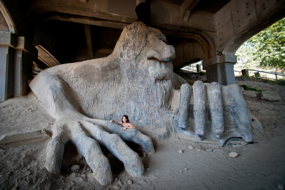 seattle product owner fremont troll