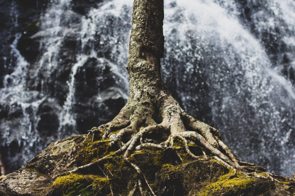 zach-reiner-631842-unsplash
