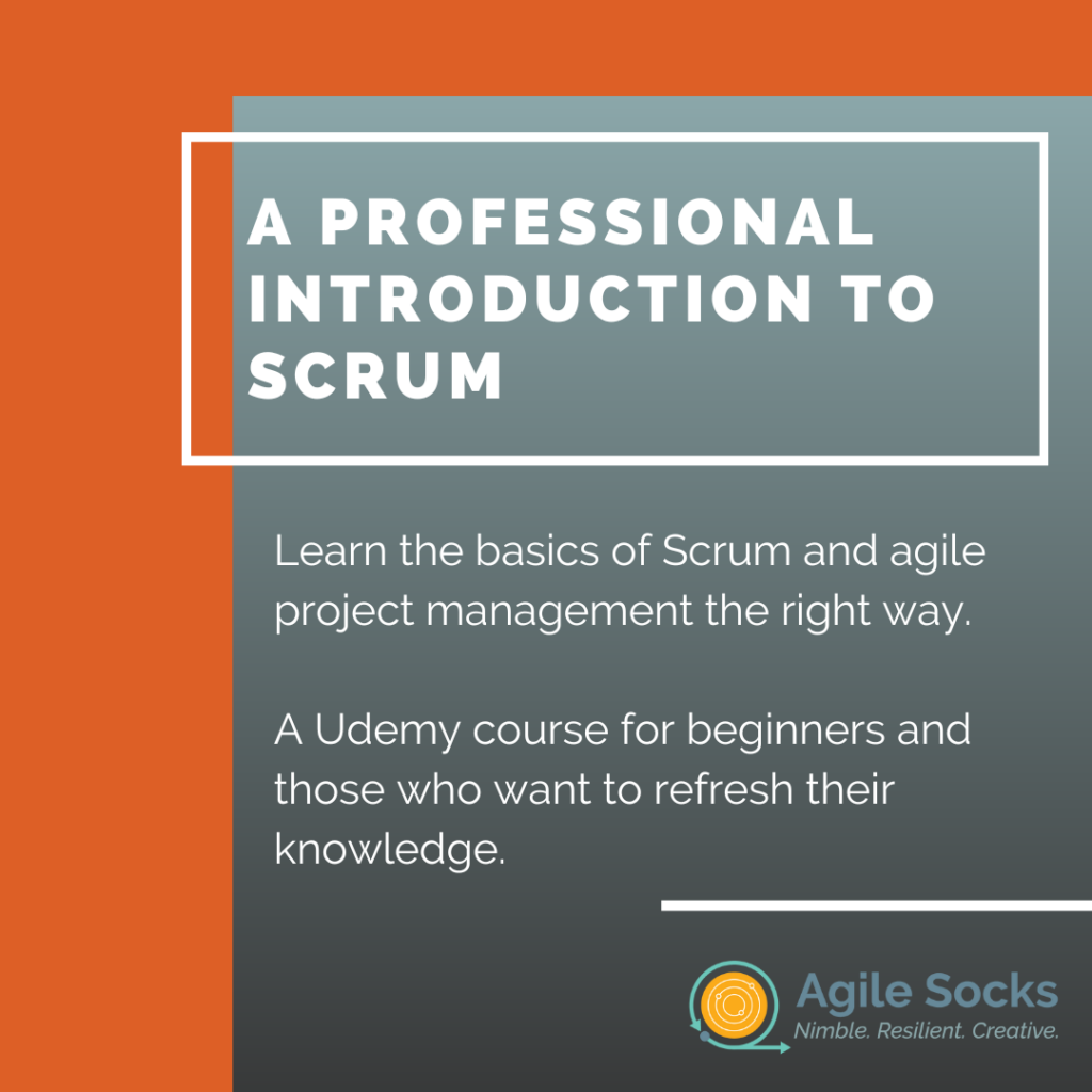 A Professional Introduction to Scrum - Udemy Course