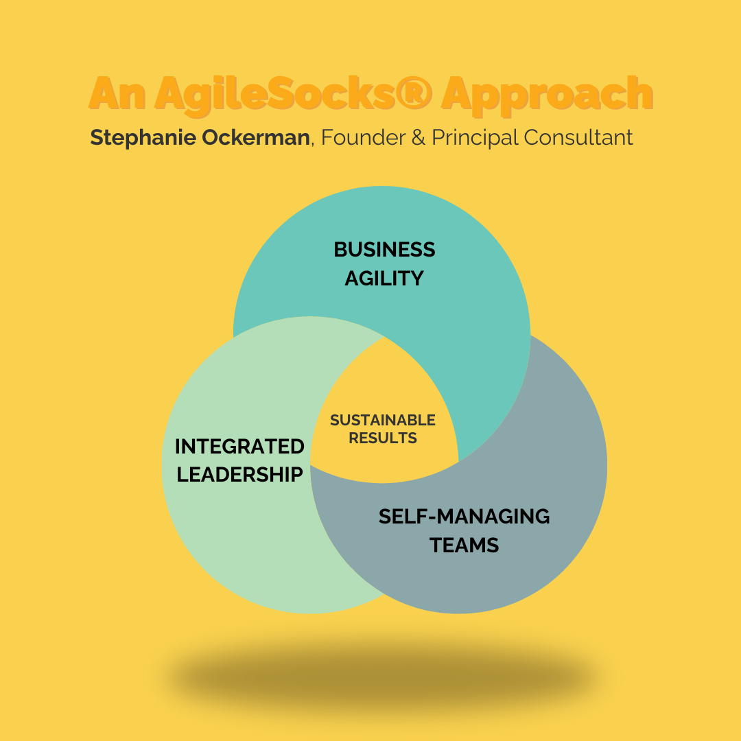An Agile Socks Approach - Venn Diagram showing the intersection of three competencies: Business Agility, Self-Managing Teams, and Integrated Leadership