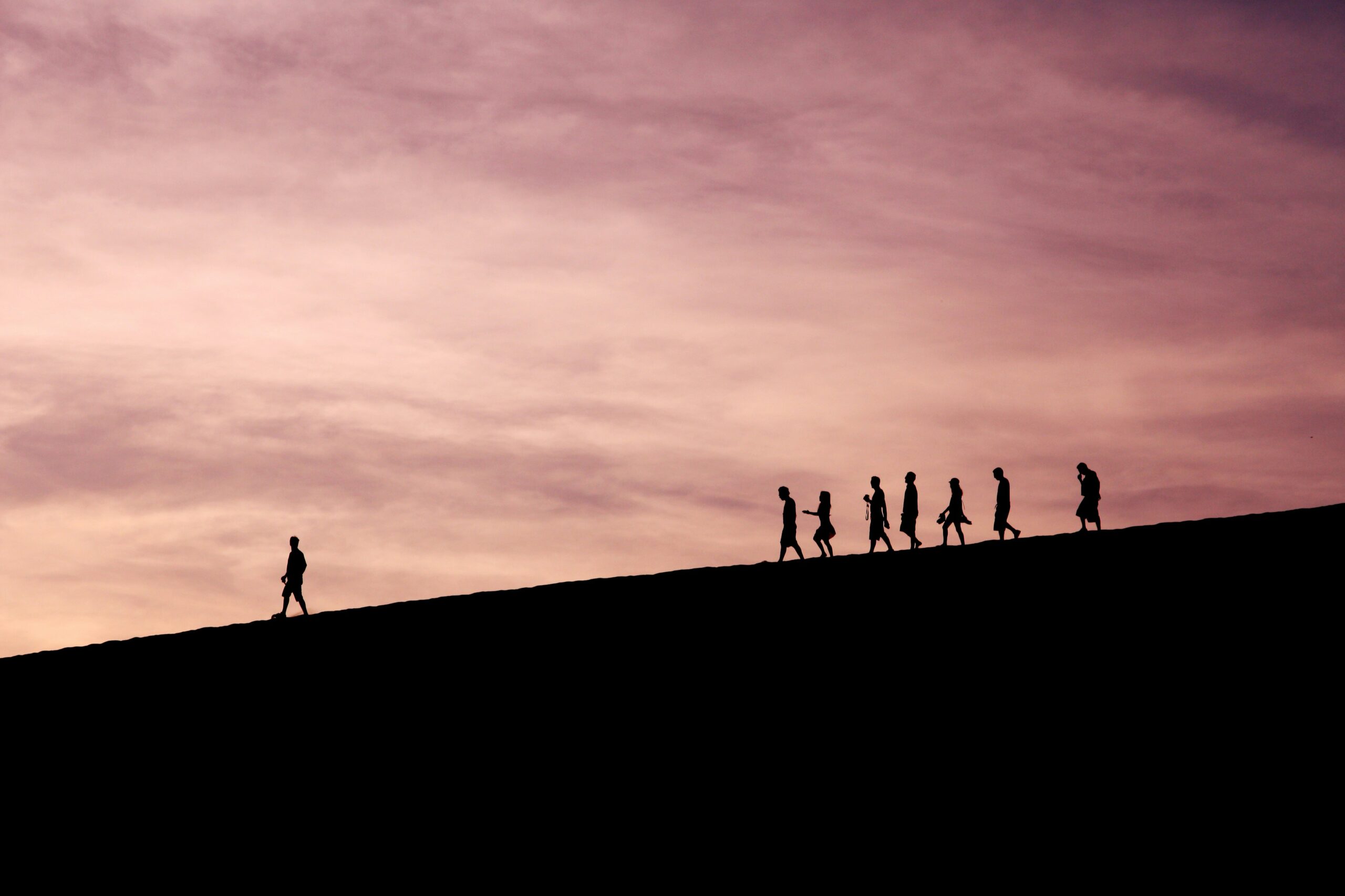 Silhouette of a leader walking with a group of people following, sunset pink sky in the background